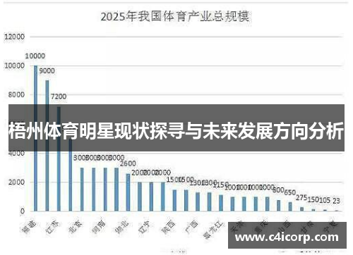 梧州体育明星现状探寻与未来发展方向分析